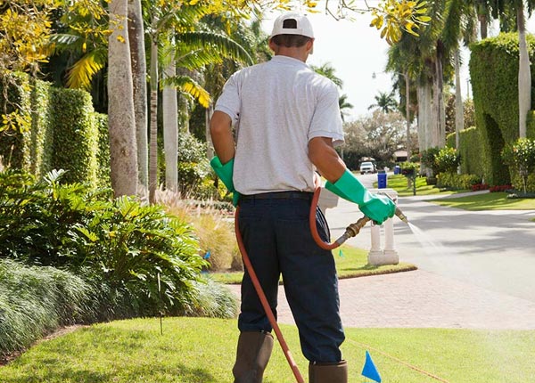 About Francitas TX Pest Control